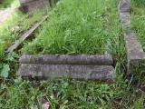 image of grave number 806520